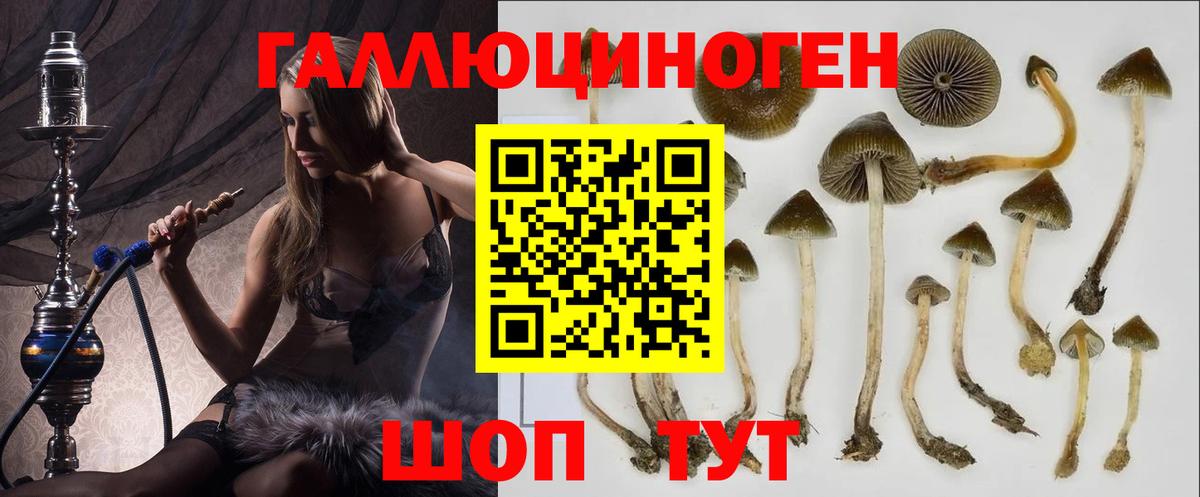 Галлюциногенные грибы GOLDEN TEACHER  Вход с VPN  Джанкой 