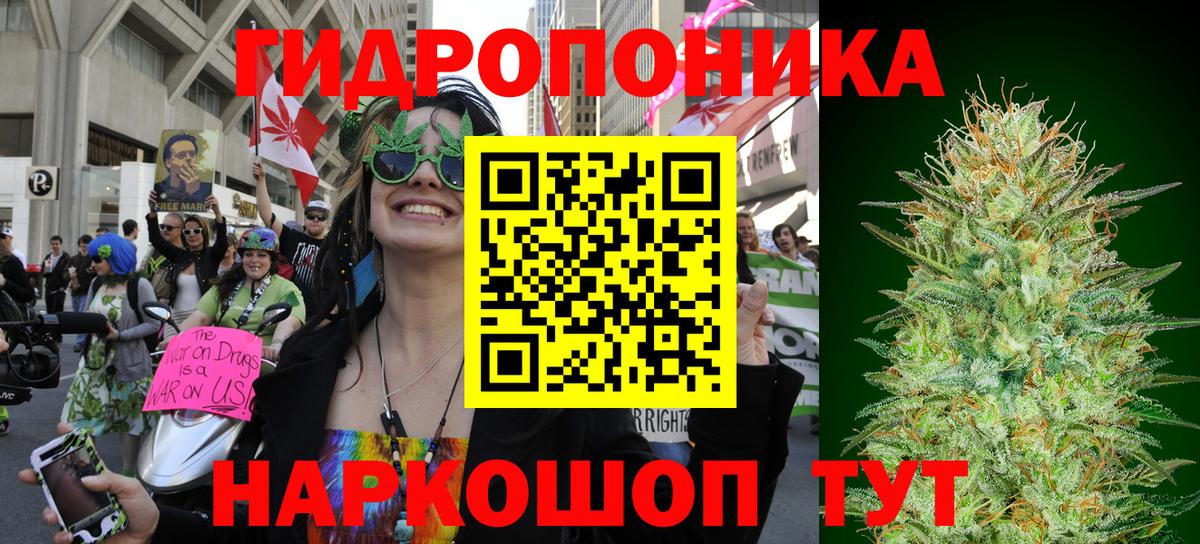 Канабис план  Конопля Bruce Banner  Джанкой  Вход с VPN  Канабис планчик  Марихуана ГИДРОПОН 